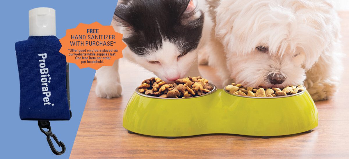 ProBioraPet for your Pet's Oral-Care. Free Hand Sanitizer for you.