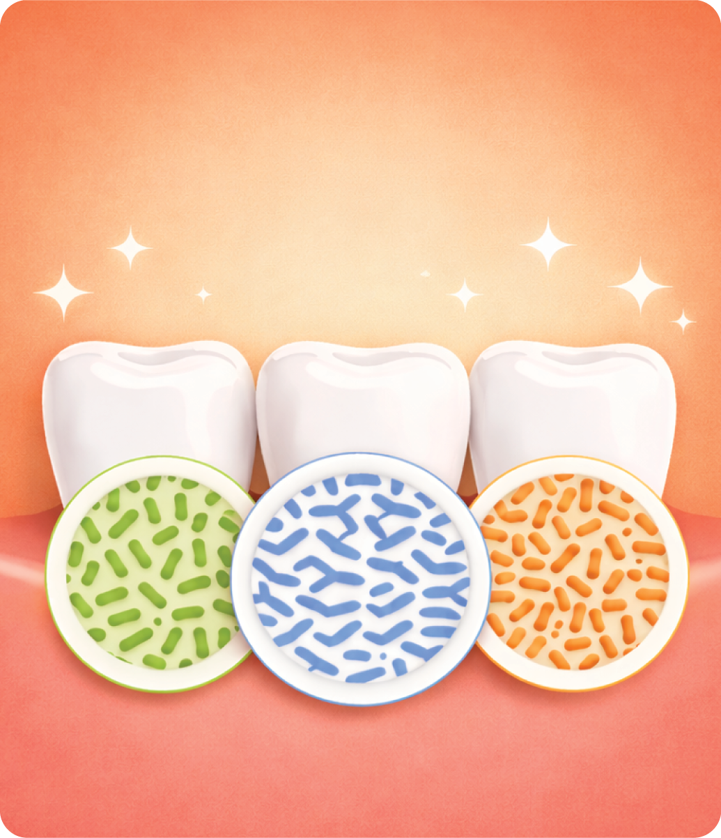Mind Your Mouth: Exploring the Link Between the Oral Microbiome and Alzheimer’s Disease Risk